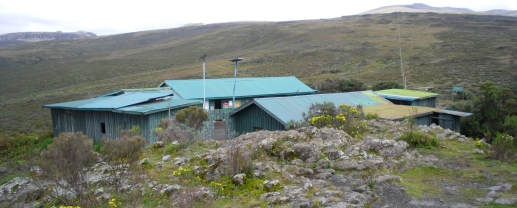 elephants in tanzania